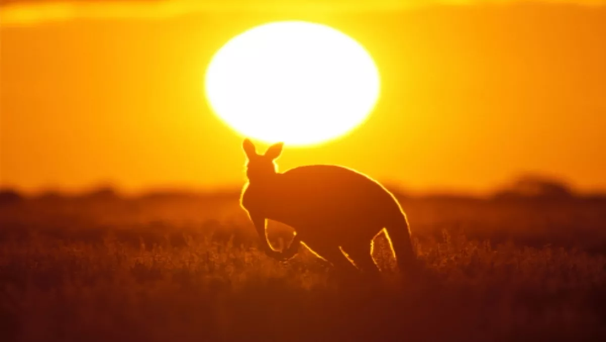 Connector Systems bags another Aussie win