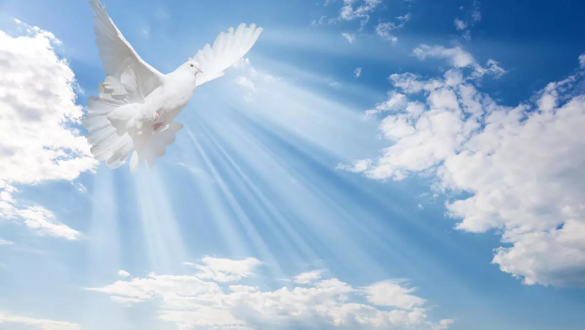 And the Kiwi channel says Dove, Dove, Dove...