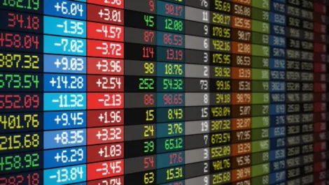 Wynyard Group lists on NZ Stock Exchange today