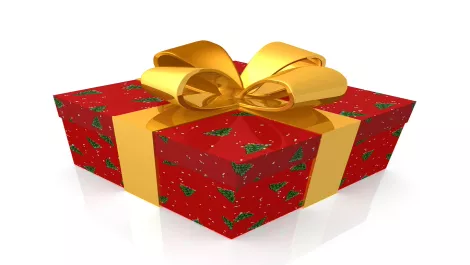 Christmas gift1 4