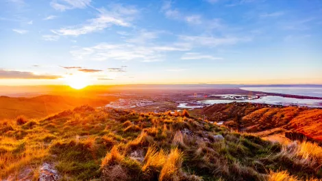 InternetNZ offers funding for Christchurch