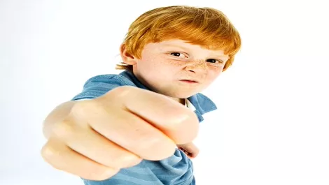 Snn0333kid 532 1447584a