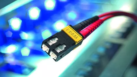 Enable focused on ChCh fibre expansion