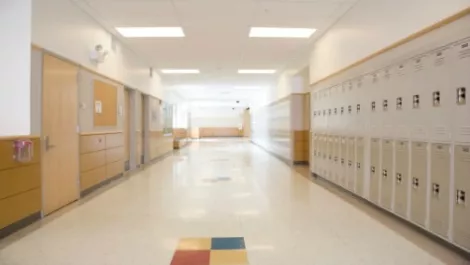 Carter Holt appeals failed strike-out bid in leaky schools case