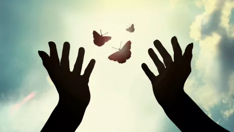 Thinkstockphotos 478847087