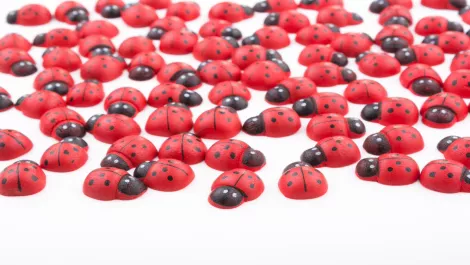 Thinkstockphotos 542007708