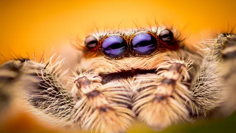 Thinkstockphotos 531120663