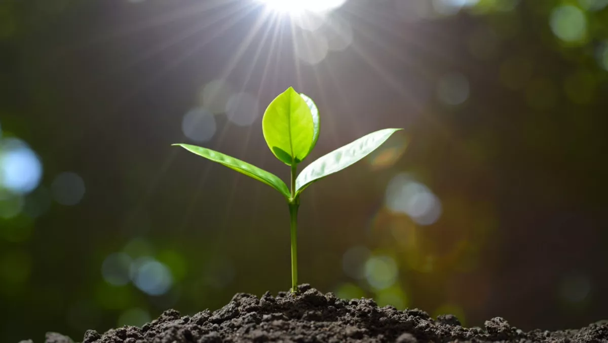 Infor rolls out three new solutions
