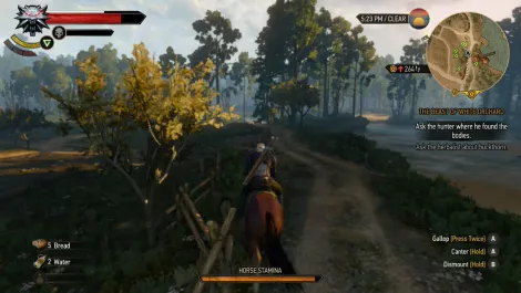 The witcher 3 switch 06