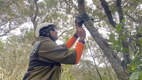 Royal gurnick  ng%c4%81i tai ki t%c4%81maki trust staff  setting up a doc ai camera credit doc